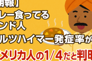 【朗報】カレー食ってるインド人、アルツハイマー発症率がアメリカ人の1/4だと判明！