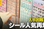 【悲報】「シールおばさん」、ガチで社会問題になる。あまりにも人気すぎて続々と販売中止にｗｗｗｗ