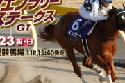 第37回フェブラリーステークス(GI)