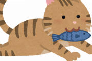 【たしかに】猫の好物が「魚」っておかしくないか？