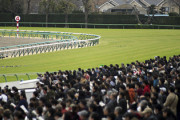 競馬場「クッソ！どうやっても客層が理想通りにならん」