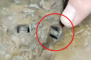【オーパーツ】数百万年前の古代石の中にボルト数本　中国人奇石収集家が発見