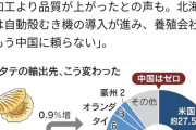 中国「もう日本産のホタテ買わんわ」日本「やめてえええ！」→結果ｗｗｗ