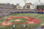 プロ野球、本日の観客動員数wwwwwwwwwwwwwwwwwwwwwwwwwww