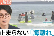 暑さで“外出キャンセル”続々…止まらない「海離れ」「カブトムシ離れ」変わる日本の夏