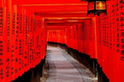 【朗報】伏見稲荷大社さん、日本の人気スポットで不動の1位になる