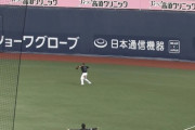 【GIF】ロッテ・マーティン、またやらかすwwwww