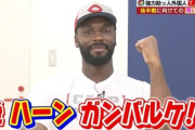 【朗報】広島東洋カープさん、うっかり優勝に向けバケモノ外国人を当ててしまうWVWVWVWVWVWVWVWVWVWV