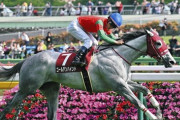 【フローラS】ゴールドシップ種牡馬大成功！