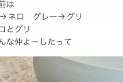【速報】ガーシー、史上最大級の暴露をする