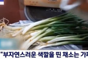 中国産のネギ、洗うと青い染料が出てくると話題に