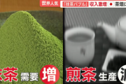 伊藤園が緑茶リーフ製品･抹茶製品を最大2倍値上げ 外国人に人気で世界需要拡大､原料不足で価格高騰