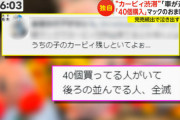 【悲報】マック「カービィ数量制限なしです」転売ヤー「40個買うわｗ」親御さん「…」