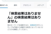 【艦これ】Twitterが壊れるとやっぱり不便でち