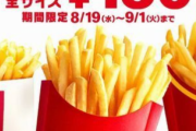 マックのポテト全サイズ150円とか聞いてソワソワしてたけど、コレ見て正気を取り戻した