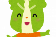 1人暮らしだけど「白菜」という野菜を貰ったんだがｗｗｗｗｗｗｗｗｗｗ