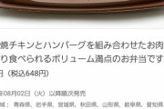 【朗報】セブンの新商品「ハンバーグ＆炭火焼きチキン弁当」、ボリューミーで美味そう