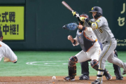 梅野隆太郎トーク　七回にバント、九回にダメ押し打の阪神・梅野は「とにかく気持ちでやったという感じ」