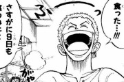 【ONEPIECE -ワンピース】海賊狩りのゾロさん、1人のときは明るかったｗｗｗｗｗ