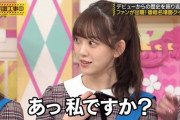 【乃木坂46】なんで堀ちゃんって嫌われてるの