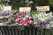 【乃木坂46】10thバスラ、バナナマンの他にも超豪華芸能人からの祝花が！！！！！！