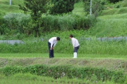 「退職届だした途端、体調が改善した」ってサラリーマンが山ほどいるわけで、総理大臣がコース料理食べたって記事見たら