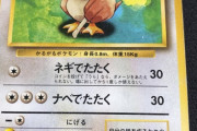 【画像】俺、ポケモンカードで富豪になれる可能性が浮上