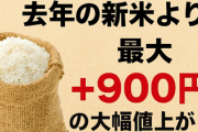 【コメ高級品化】“新米ショック”北海道産ゆめぴりか5キロ4800円超_去年の新米より最大900円の大幅値上がり「年内は下がらないのでは」