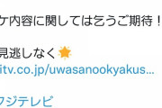 【朗報】俺たちの田中美、フジテレビの超人気番組に出演決定！