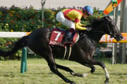菊花賞3着ジャスティンパレスはマーカンドで有馬記念へ