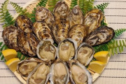 【朗報】東京湾の牡蠣、美味そう