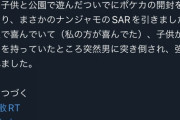 【悲報】ポケカ転売屋、公園で子どもからナンジャモを強奪。その後逃走