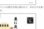 【悲報】岩手県、強すぎる　マスクが売れ残る日も