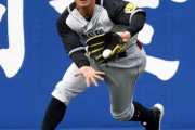 阪神・糸井さんの守備wwwwxwww