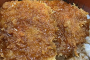 ソースカツ丼「あのう…どうして食べてくれないんですか？美味しいのに…」