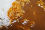 彼弟「カレーを作るのが得意」私「食べてみたいですー」→しばらくして彼の家に行ったら弟君がカレーを作ってくれたけど彼母がブチギレた