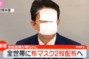【速報】アベノマスク、ガチで草生えるｗｗｗｗｗｗｗｗｗｗｗ
