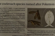 シンガポールで発見された新種の「リアル虫」ポケモンから命名される