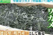 今度は静岡で中国産わかめを国産と偽装、食品加工会社を経営する親子など3人を逮捕
