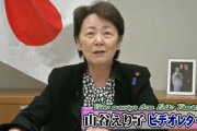 【LGBT法】自民・山谷えり子氏「先行した欧米諸国では社会の混乱・分断が広がり、女性の安全や権利が脅かされ、悲鳴の声や訴訟が起きている！」
