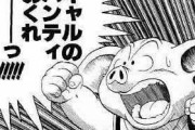 【疑問】お前らが「ドラゴンボール」あったら何を願う？？？？？