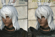 【FF14】「旧グラの顔も選べるようにします」←これをするだけでグラアプデ問題は解決しそうなのに何故やらないのか