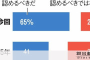 【世論】同性婚、法律で「認めるべき」65%　「認めるべきではない」22%