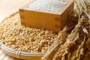 コメの売り上げが通常の３倍に　業界団体「在庫は十分にある」