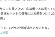 【悲報】檜山沙耶さん、苦言を呈したファンをブロックしてしまう