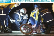 【悲報】お父さんと横断歩道を渡っていた女の子(8)、左折してきたトラックに巻き込まれて死亡…