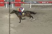 【東京ダービー】1番人気ラムジェット6馬身差圧勝！４連勝で交流Jpn1制覇