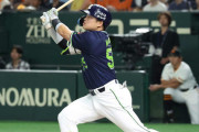 ヤクルト村上がいつの間にか20本打ってる