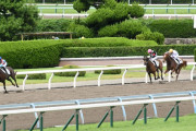 JRA最年少馬主の前田幸大氏(ノースヒルズ前田幸治氏次男)、コンクパールで初勝利