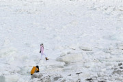 【北海道】「流氷の上を歩くことが危険なのは知らなかった」　落ちれば致命的　流氷に乗るのはやめて　海保と網走市が注意喚起